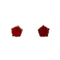 Broqueles de coral