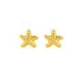 Broqueles estrella de mar
