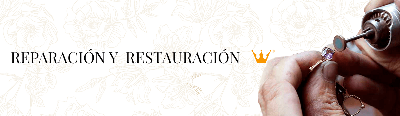 REPARACIONWEB